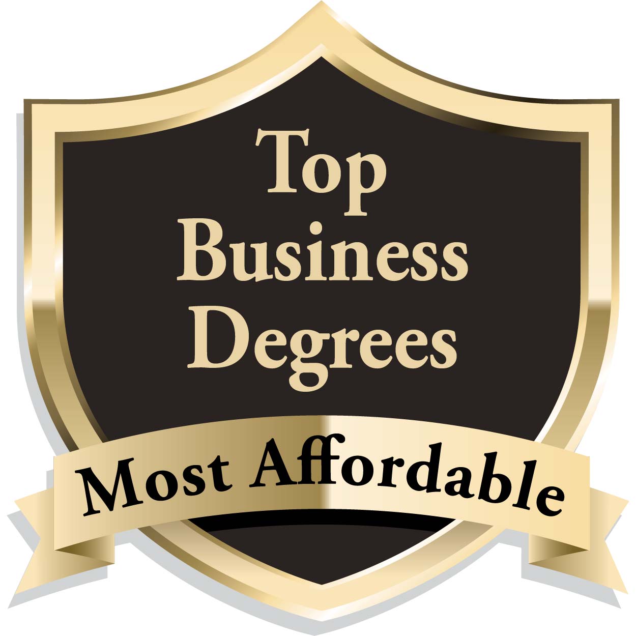 Affordable Top Masters in Accounting Online 2016